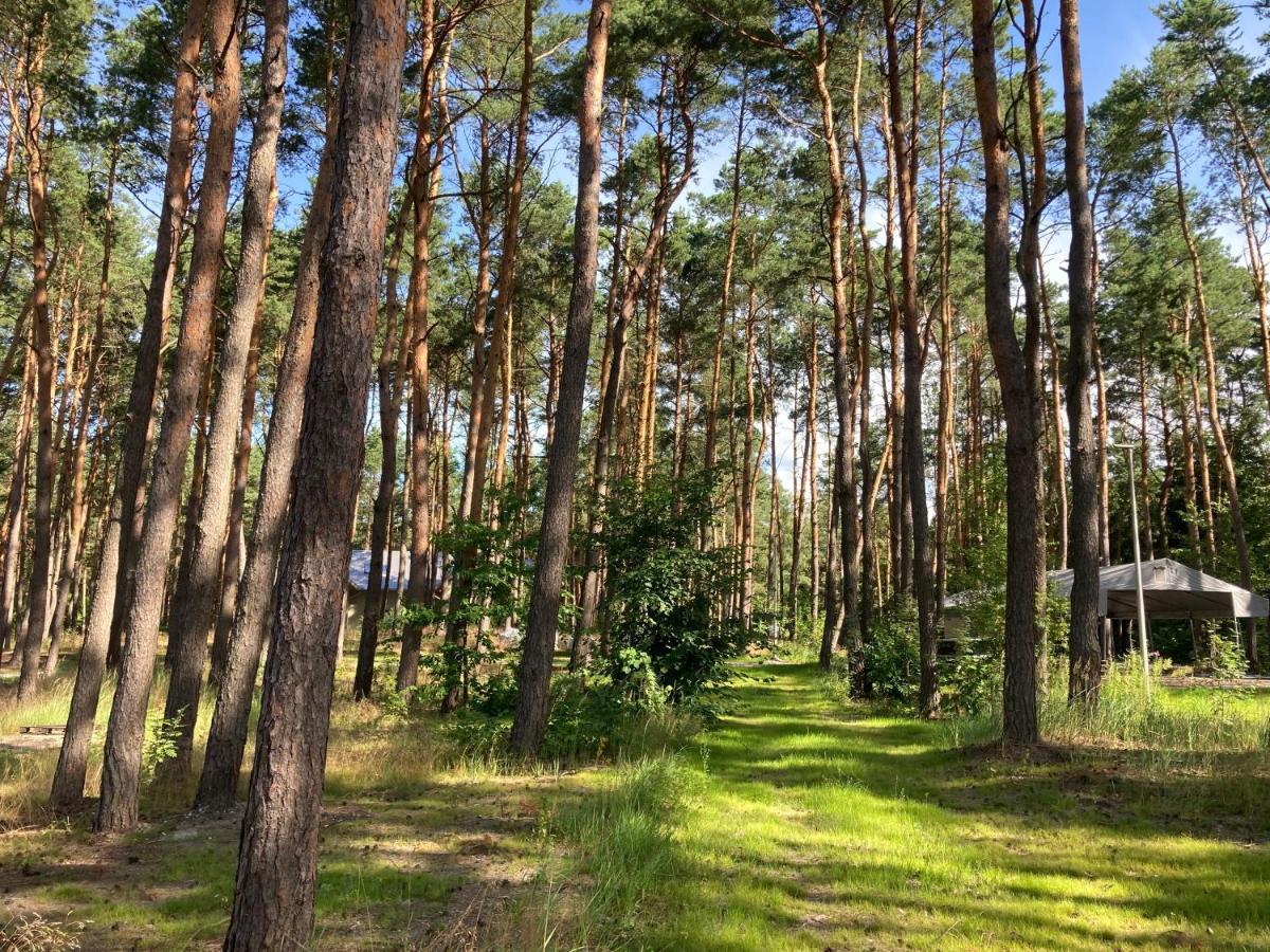 Góra Spokoju Osada klimatyczna-leśna Inowlodz Exterior foto