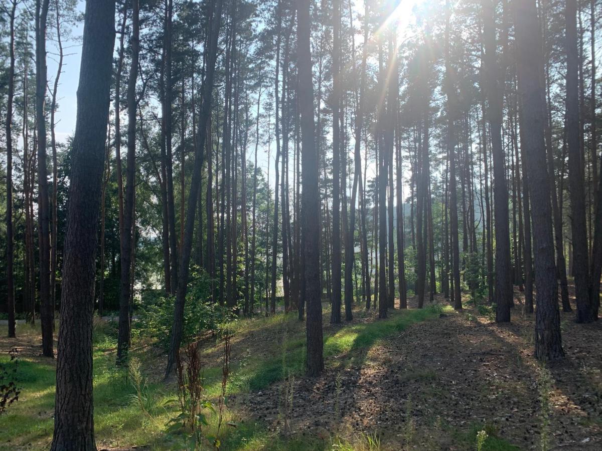 Góra Spokoju Osada klimatyczna-leśna Inowlodz Exterior foto